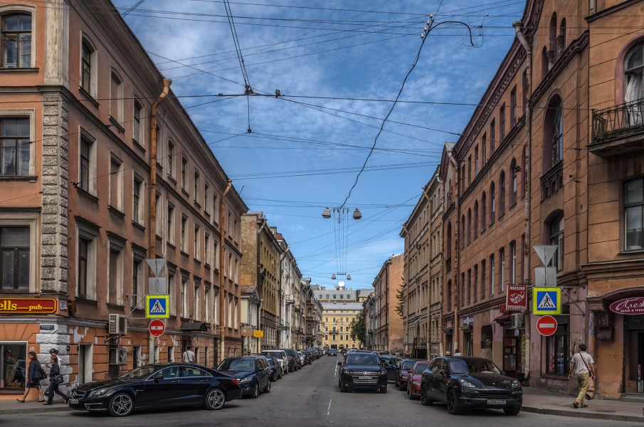 Dmitrovsky Lane SPB