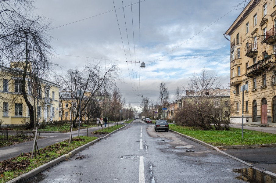 Gubina Street SPB 1
