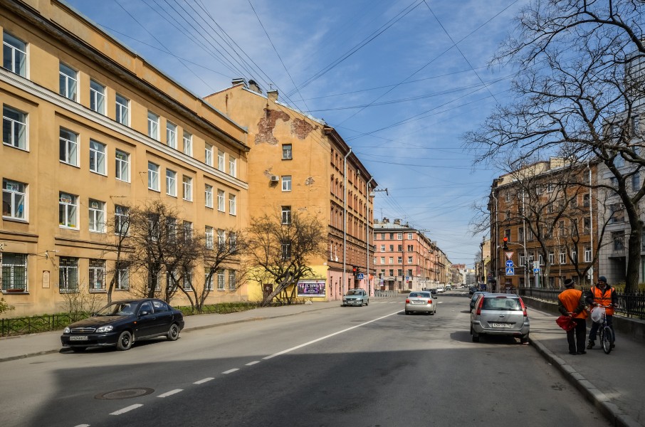 Konstantina Zaslonova Street SPB