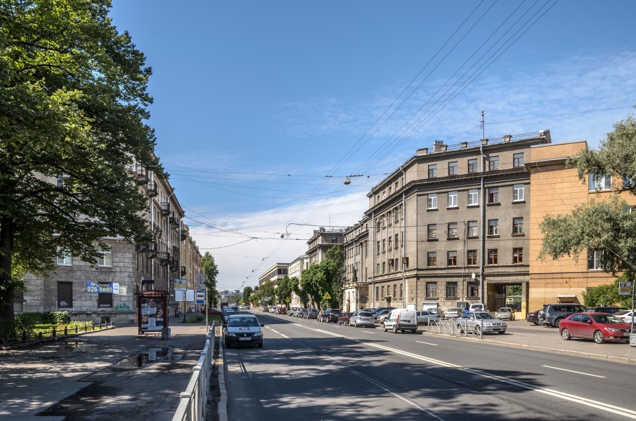 Levashovsky Avenue SPB 01