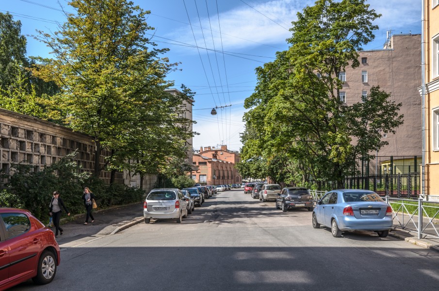 Literatorov Street SPB 01