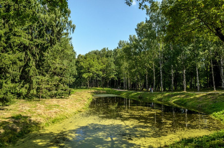 Pavlovsk Park 2013-01