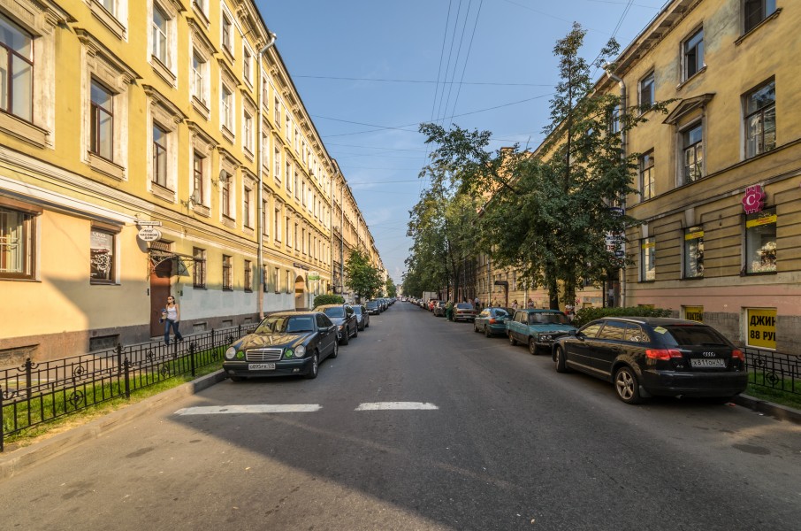 Socialisticheskaya Street SPB 01