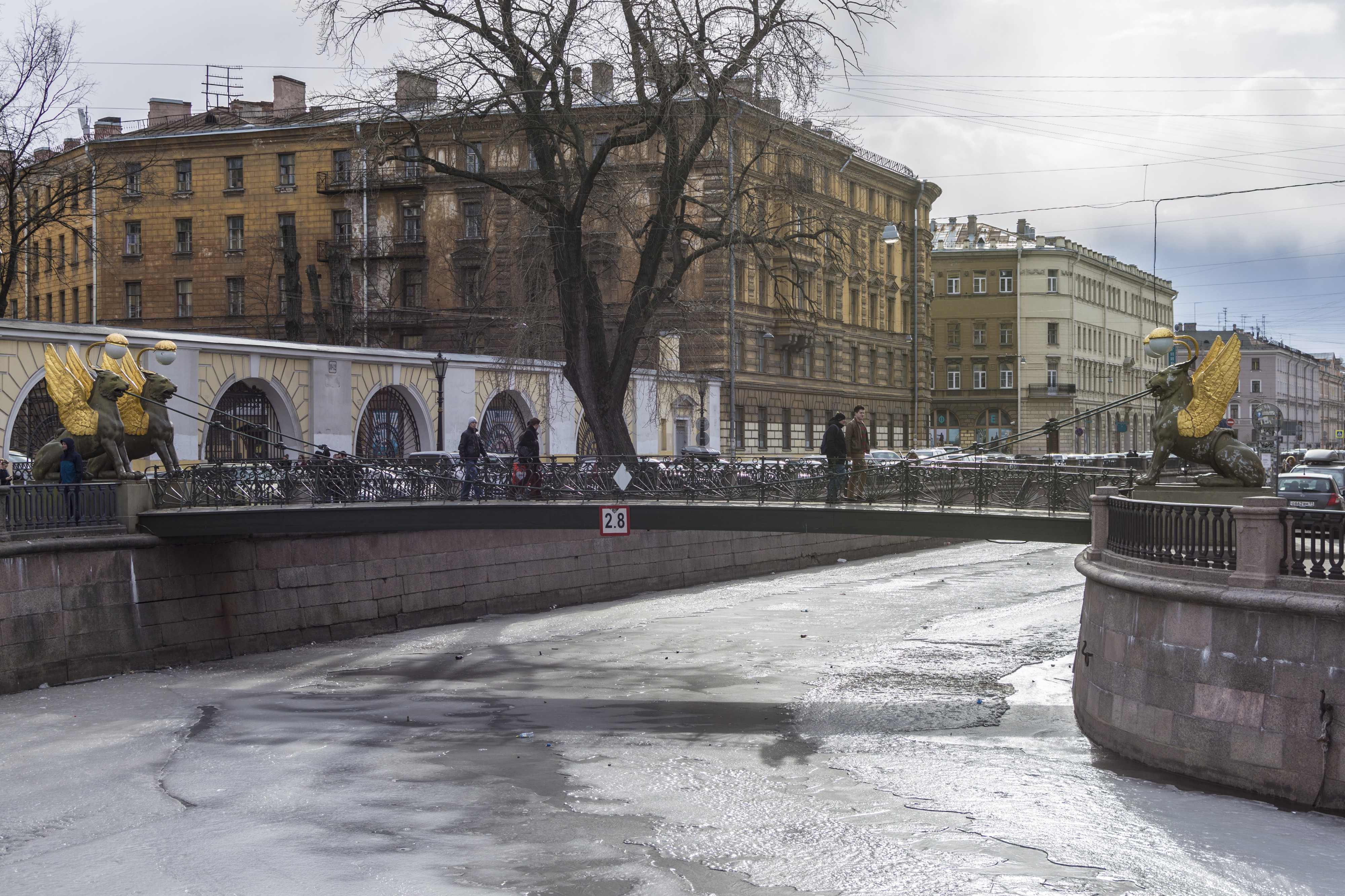 Bankovsky Bridge SPB (img1)