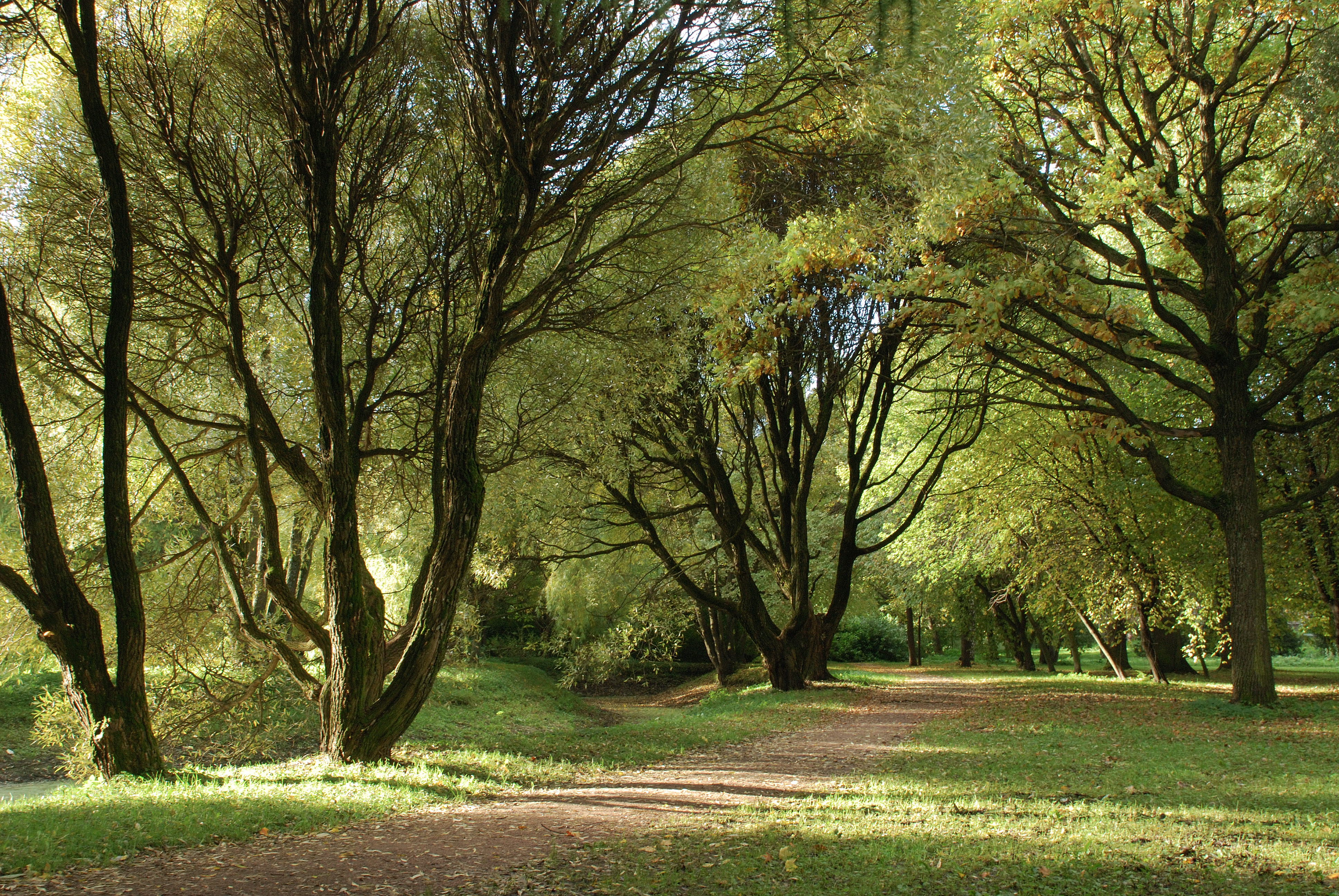 Tikhiy Otdyh park3
