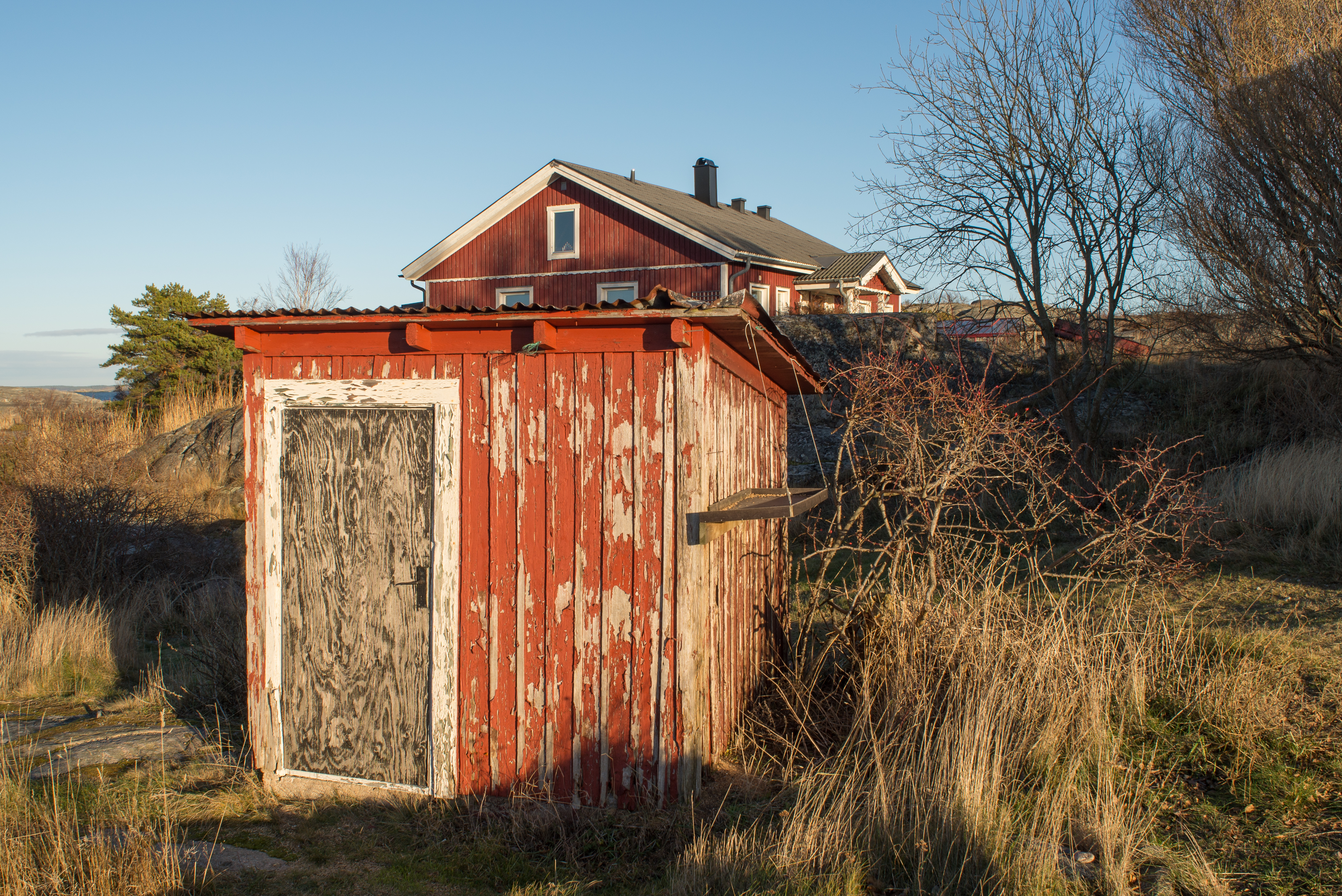 Landsorts fågelstation December 2016 01
