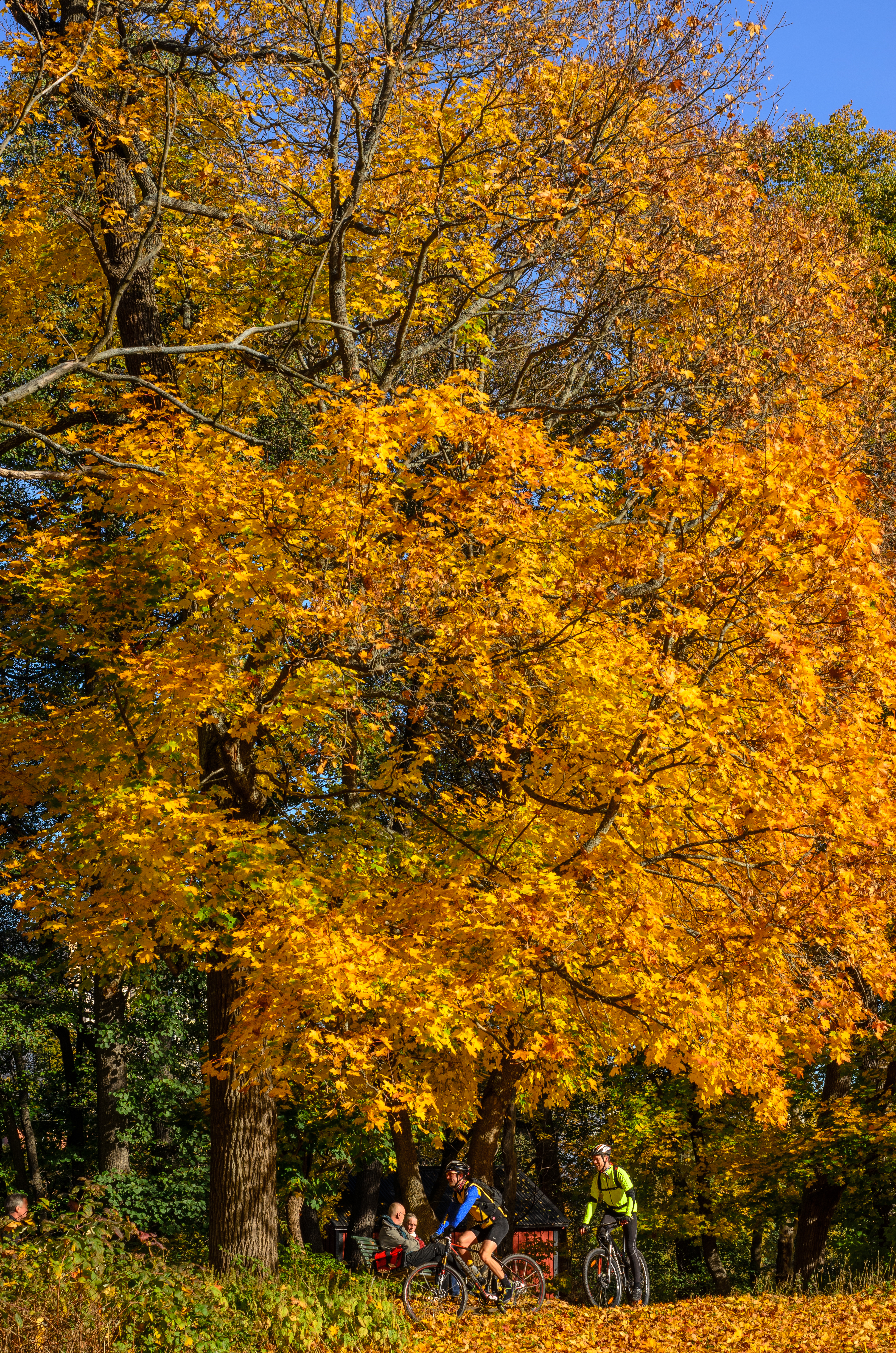 Lilla Sickla October 2013 02