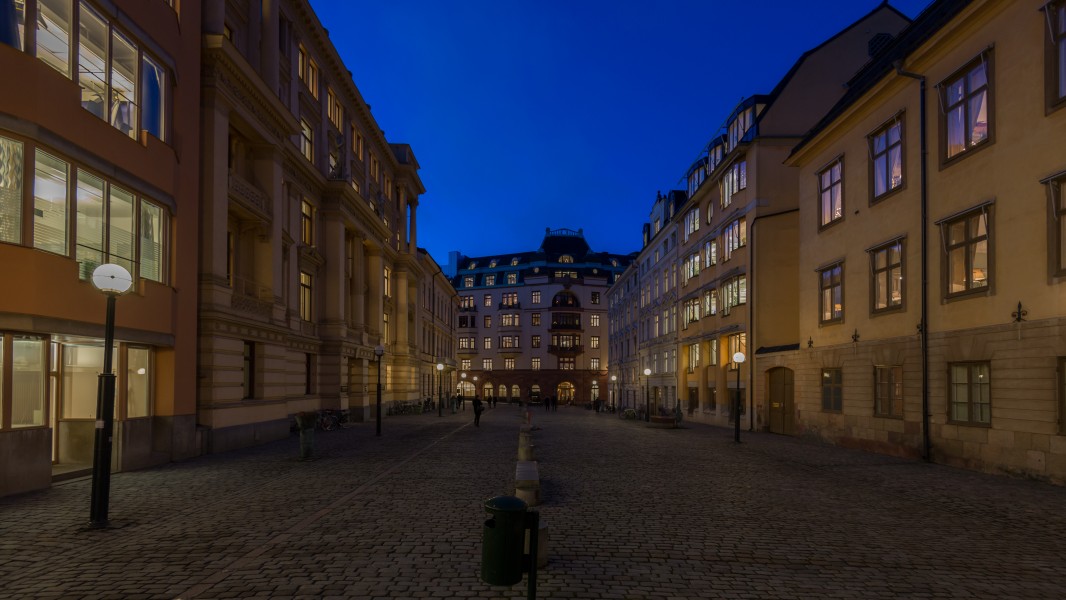 Blasieholmstorg January 2014