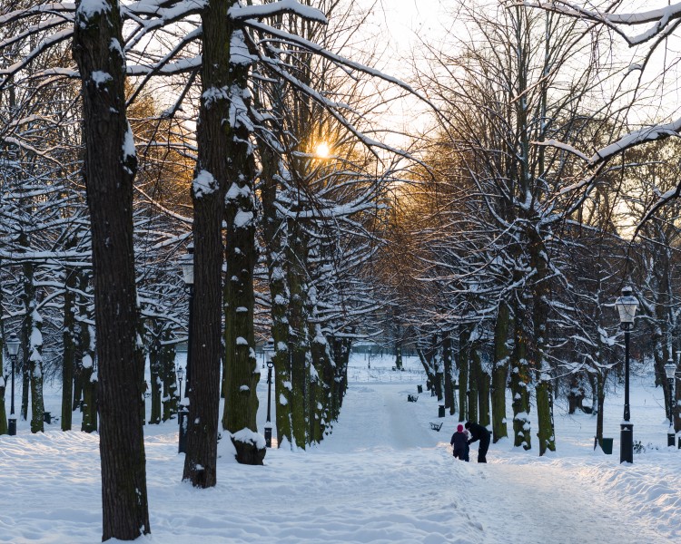 Humlegården December 2012 01