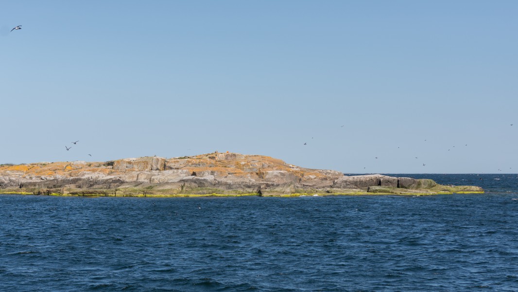 Kalkskär June 2014 01