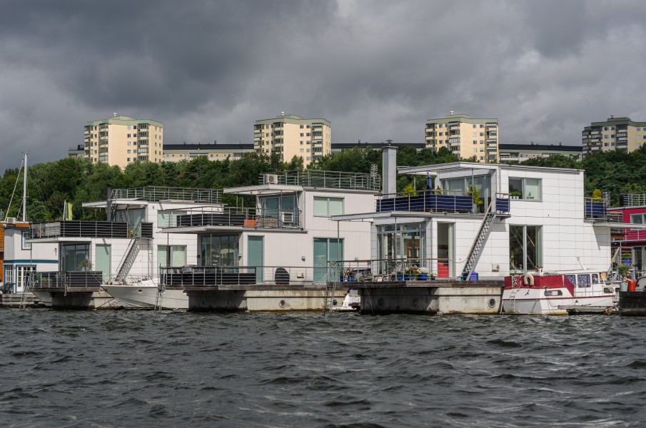 Pampas marina July 2015 01