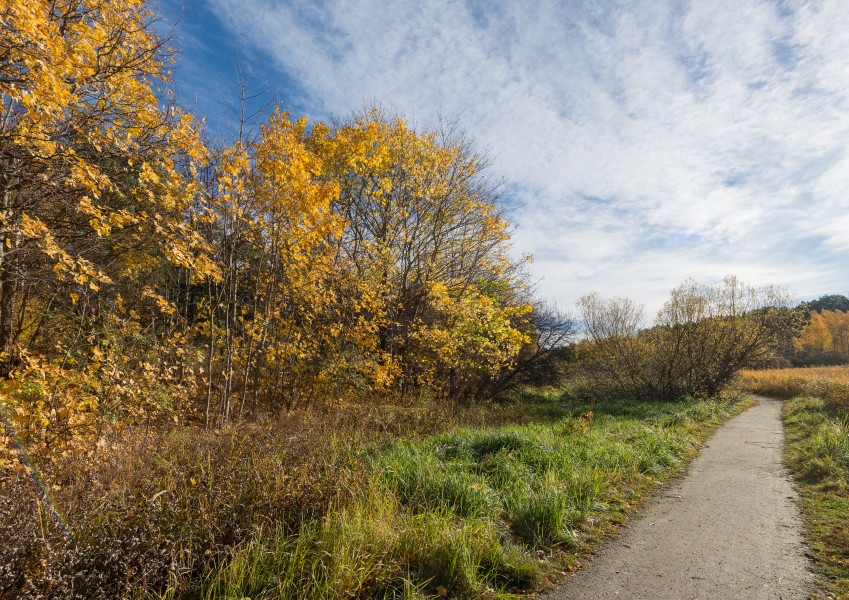 Råcksta träsk October 2016 01