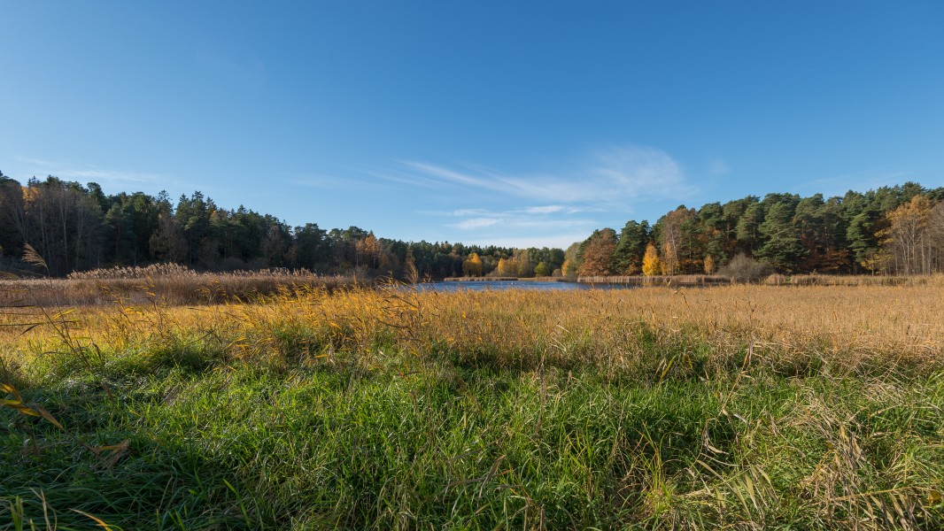 Råcksta träsk October 2016 02