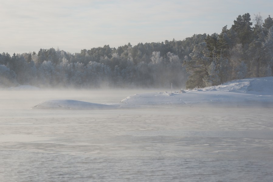 Sea smoke January 2013
