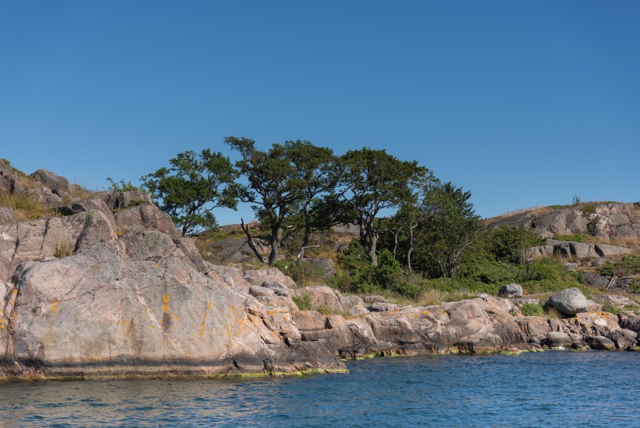 Sköt-Rökan August 2015 01