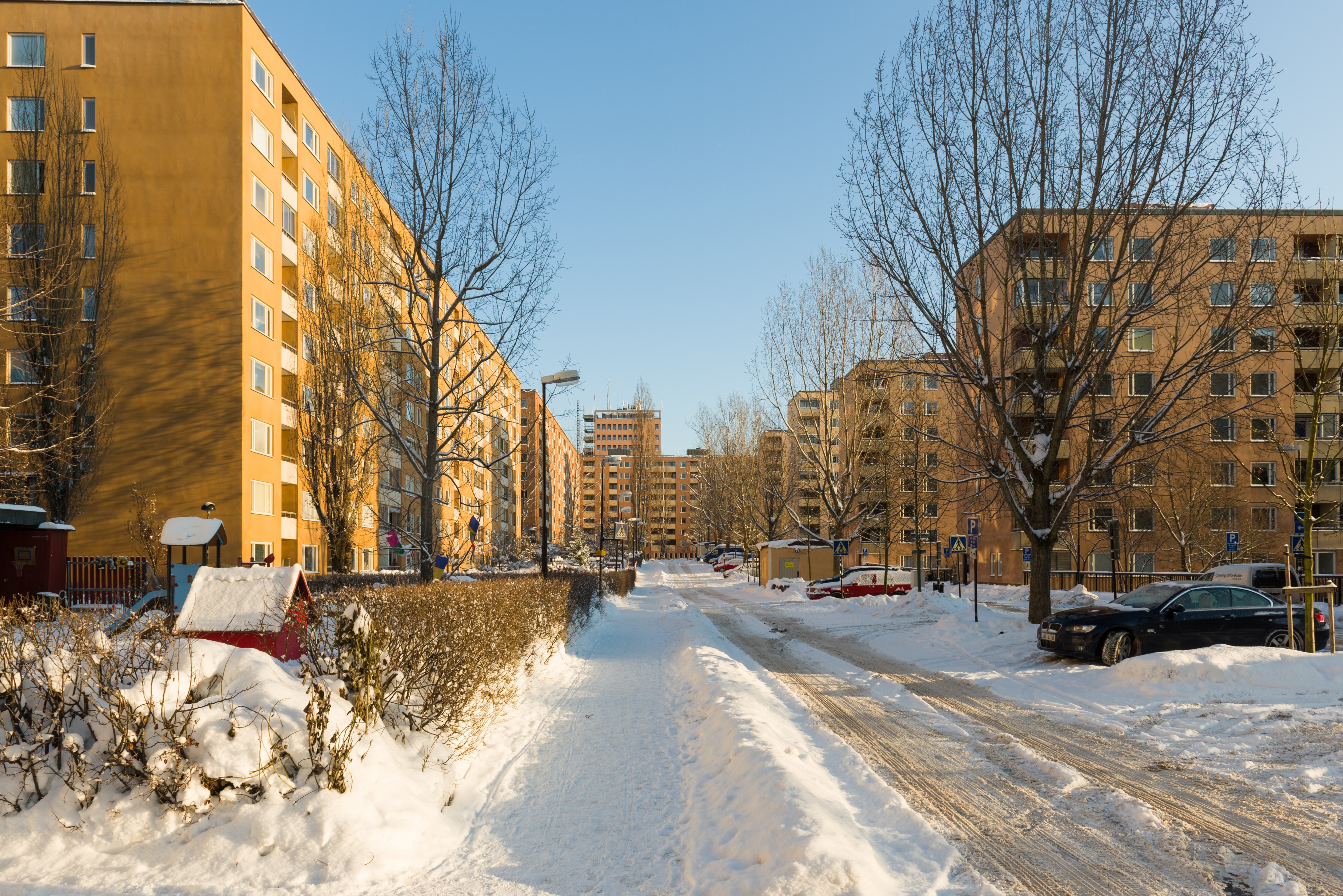 Drakenbergsområdet December 2012 02