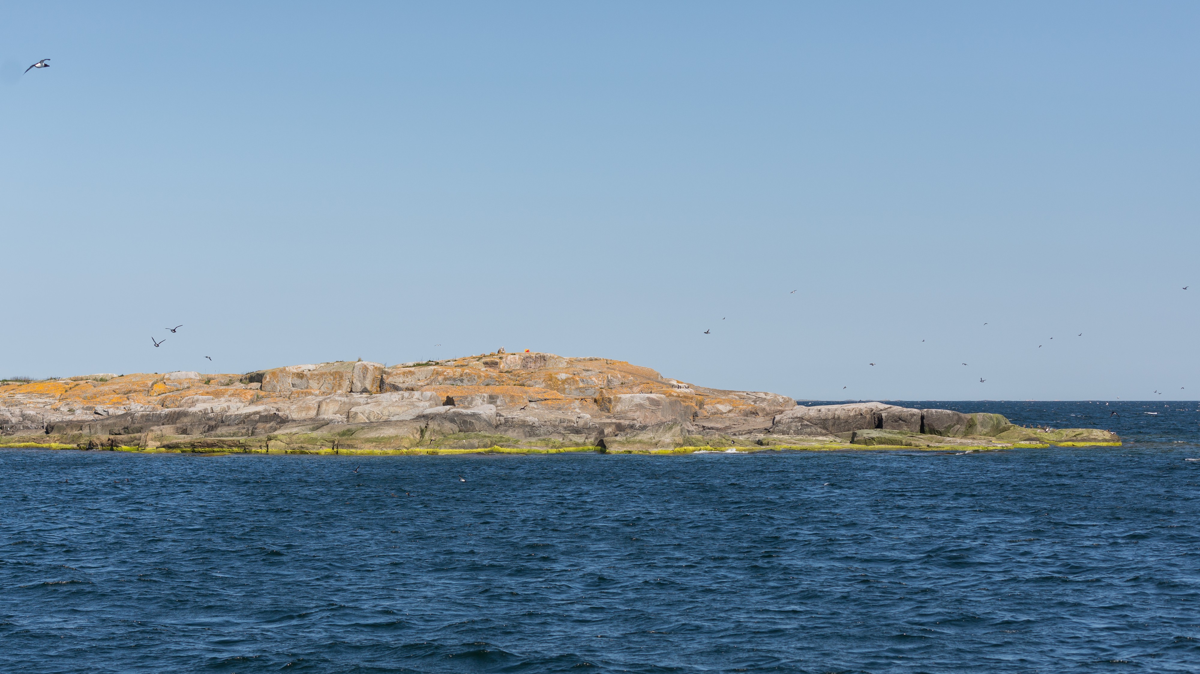 Kalkskär June 2014 01