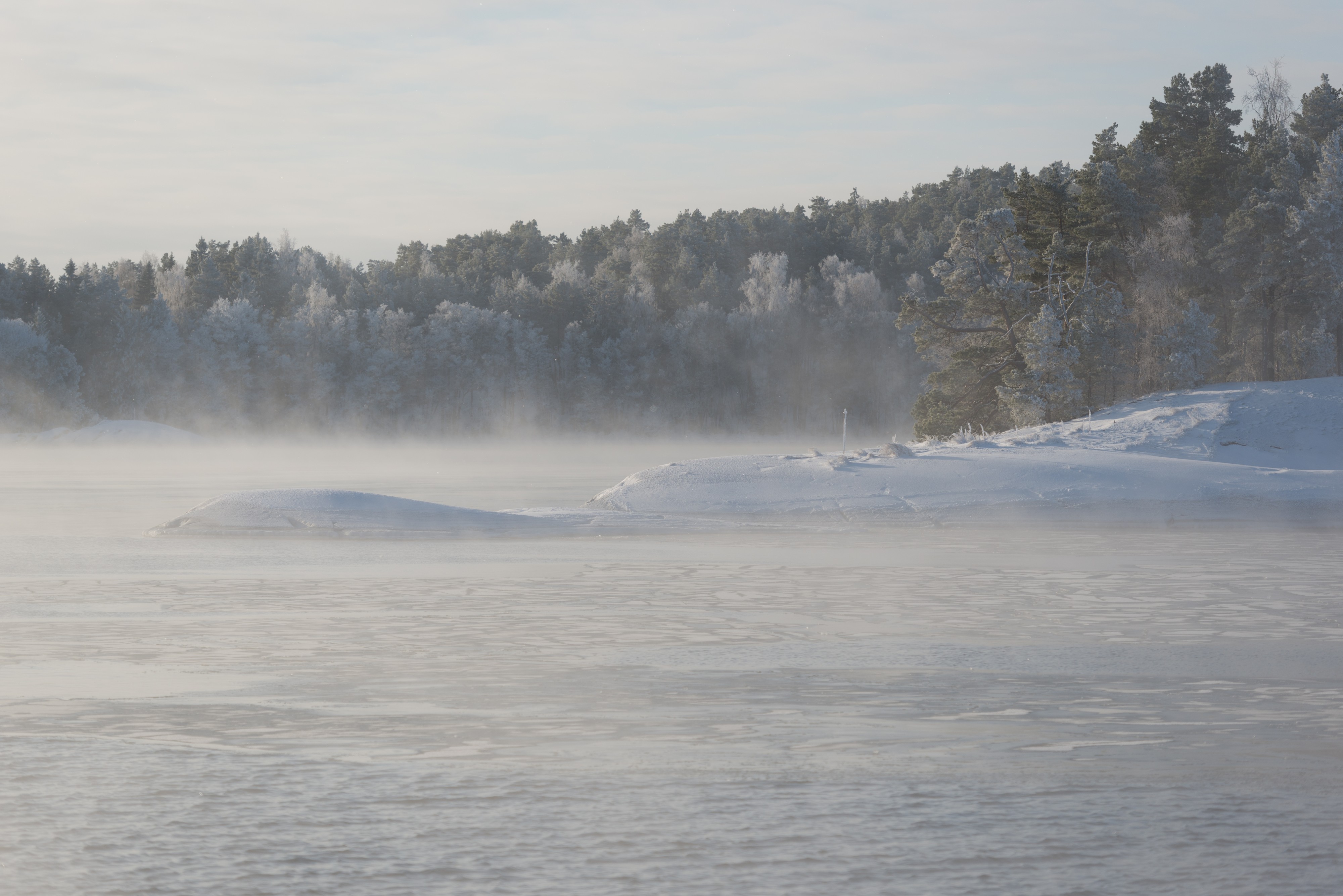 Sea smoke January 2013