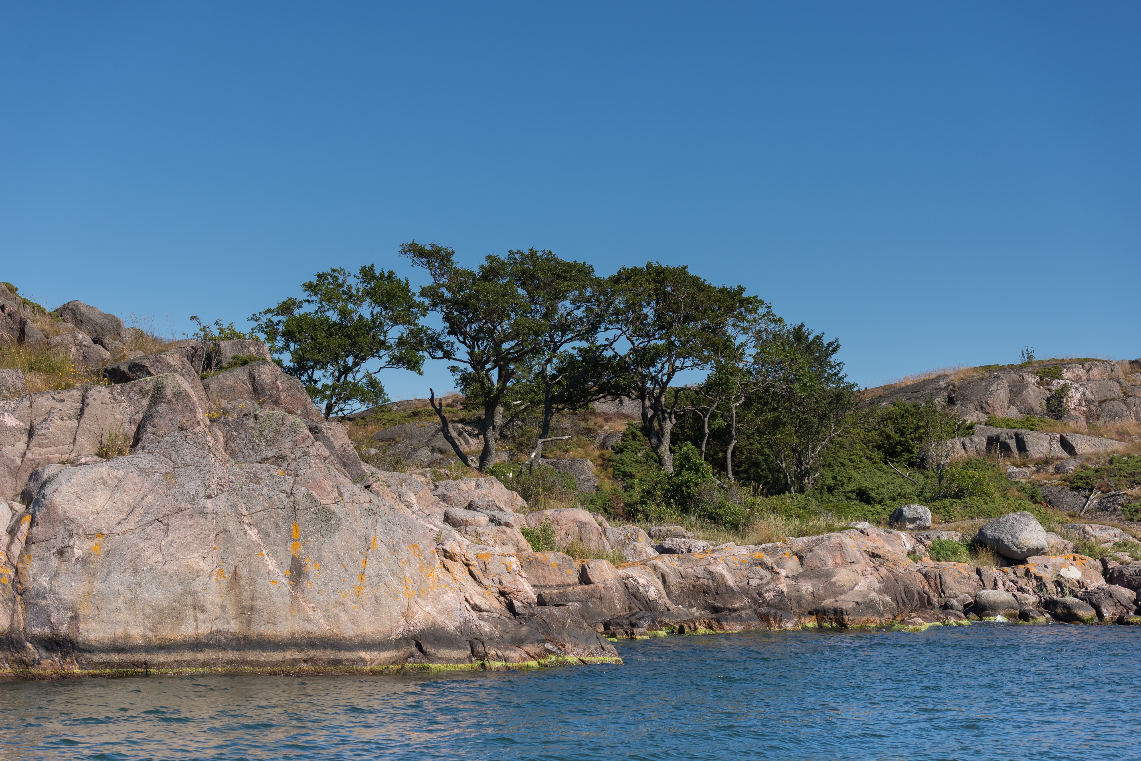 Sköt-Rökan August 2015 01