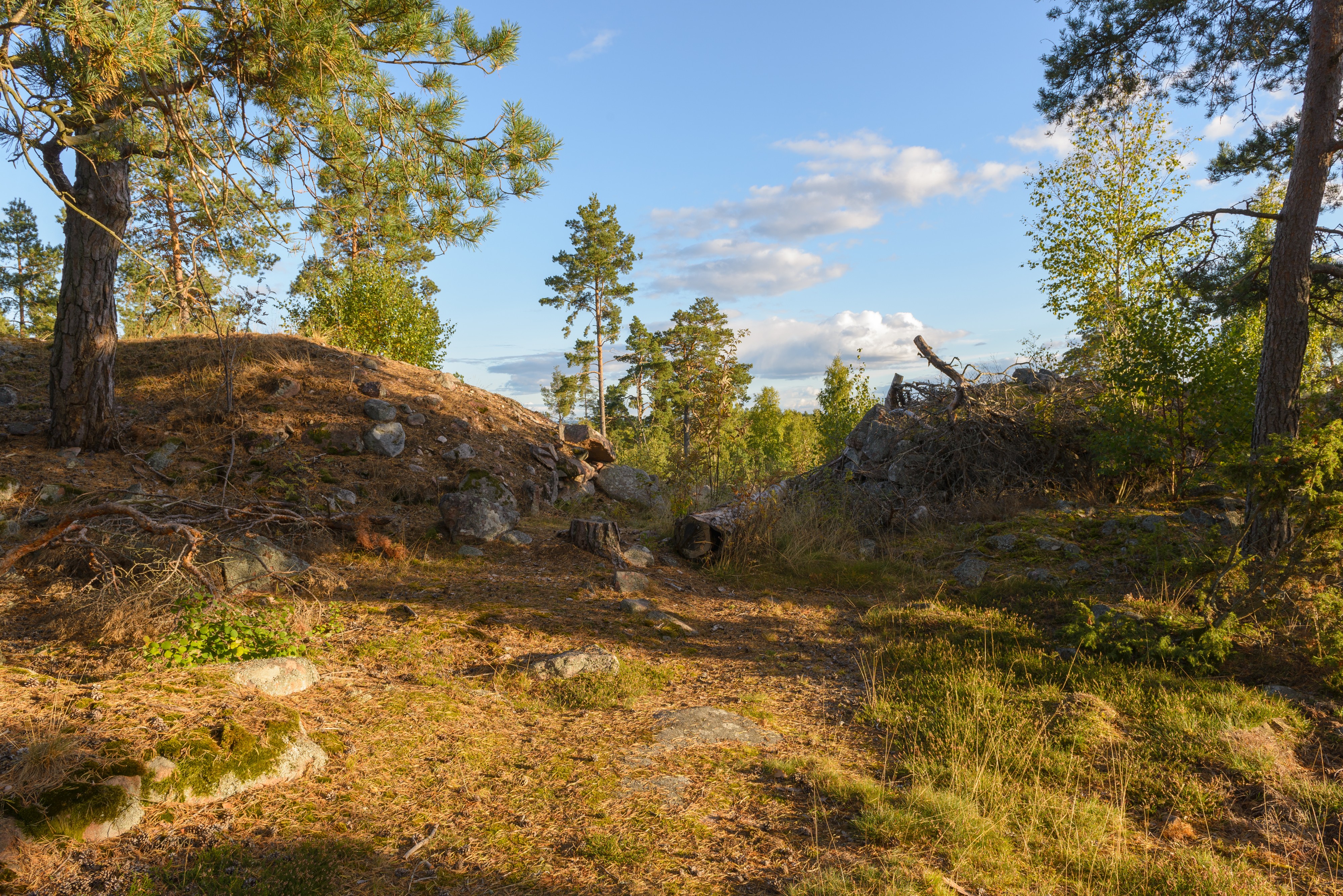 Skansbergets fornborg September 2013 15