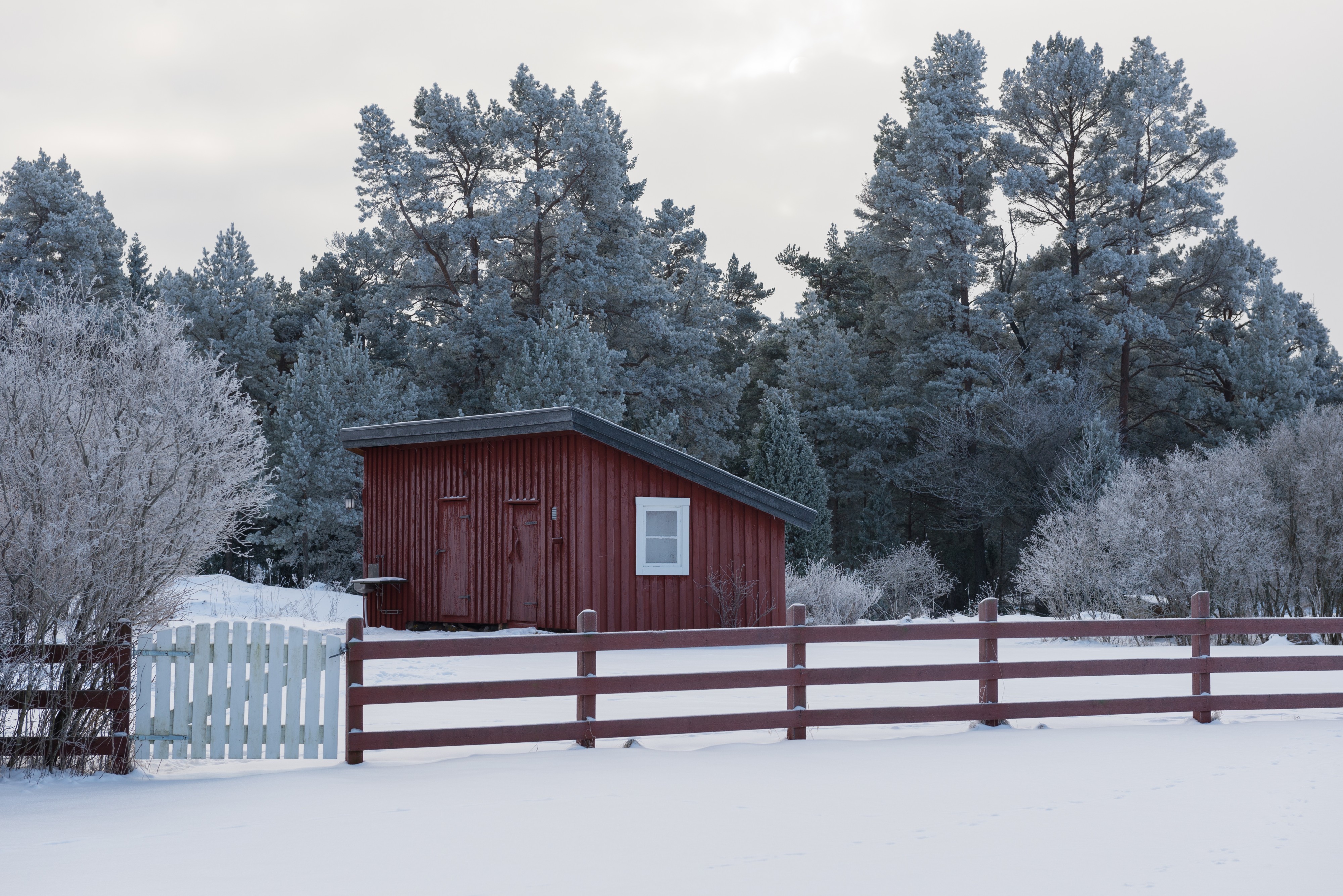 Utö January 2013 05