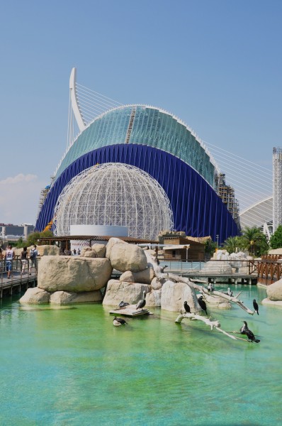 L'oceanografic-valencia-2009 (5)
