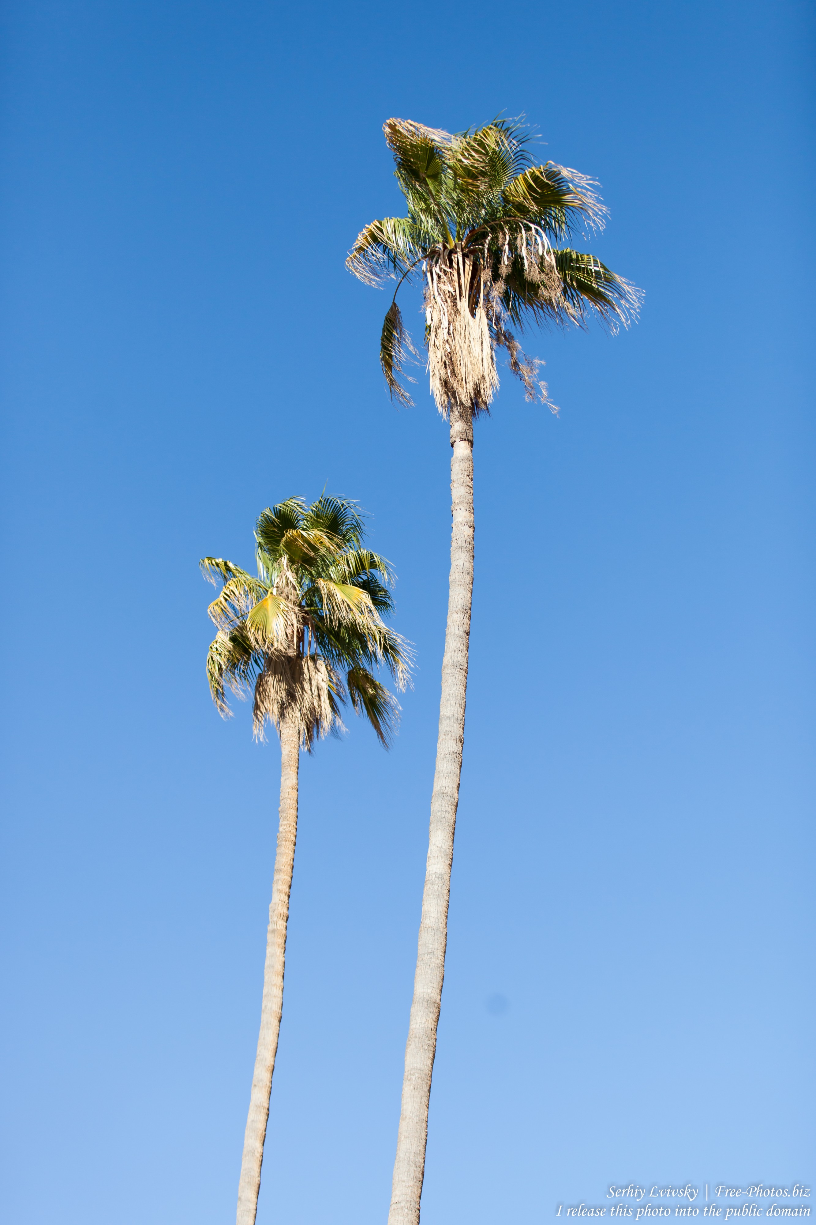 Valencia, Spain, in December 2015, photographed by Serhiy Lvivsky, picture 30