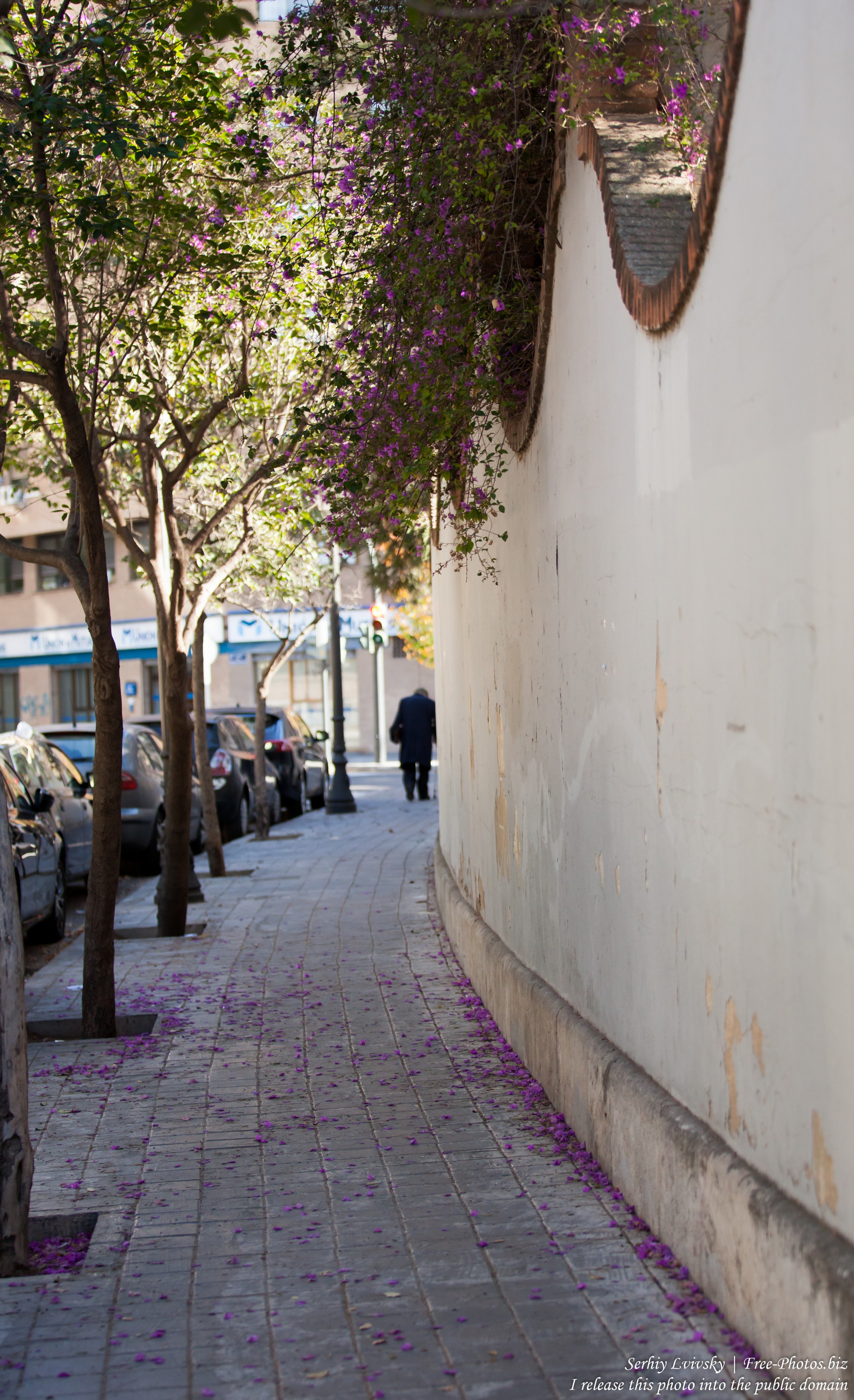 Valencia, Spain, in December 2015, photographed by Serhiy Lvivsky, picture 31
