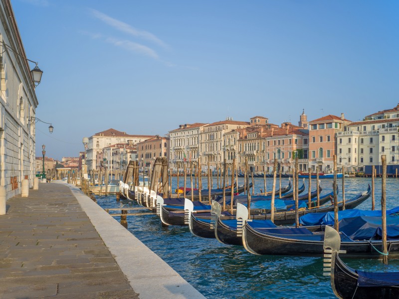 Gondole sul Canal Grande Dogana Venezia