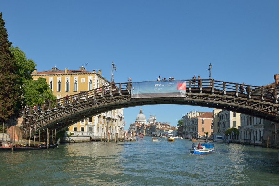 Ponte dell'Accademia Canal Grande Venezia