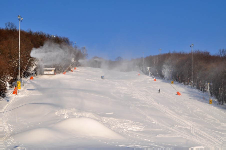 Hohe-Wand-Wiese Piste