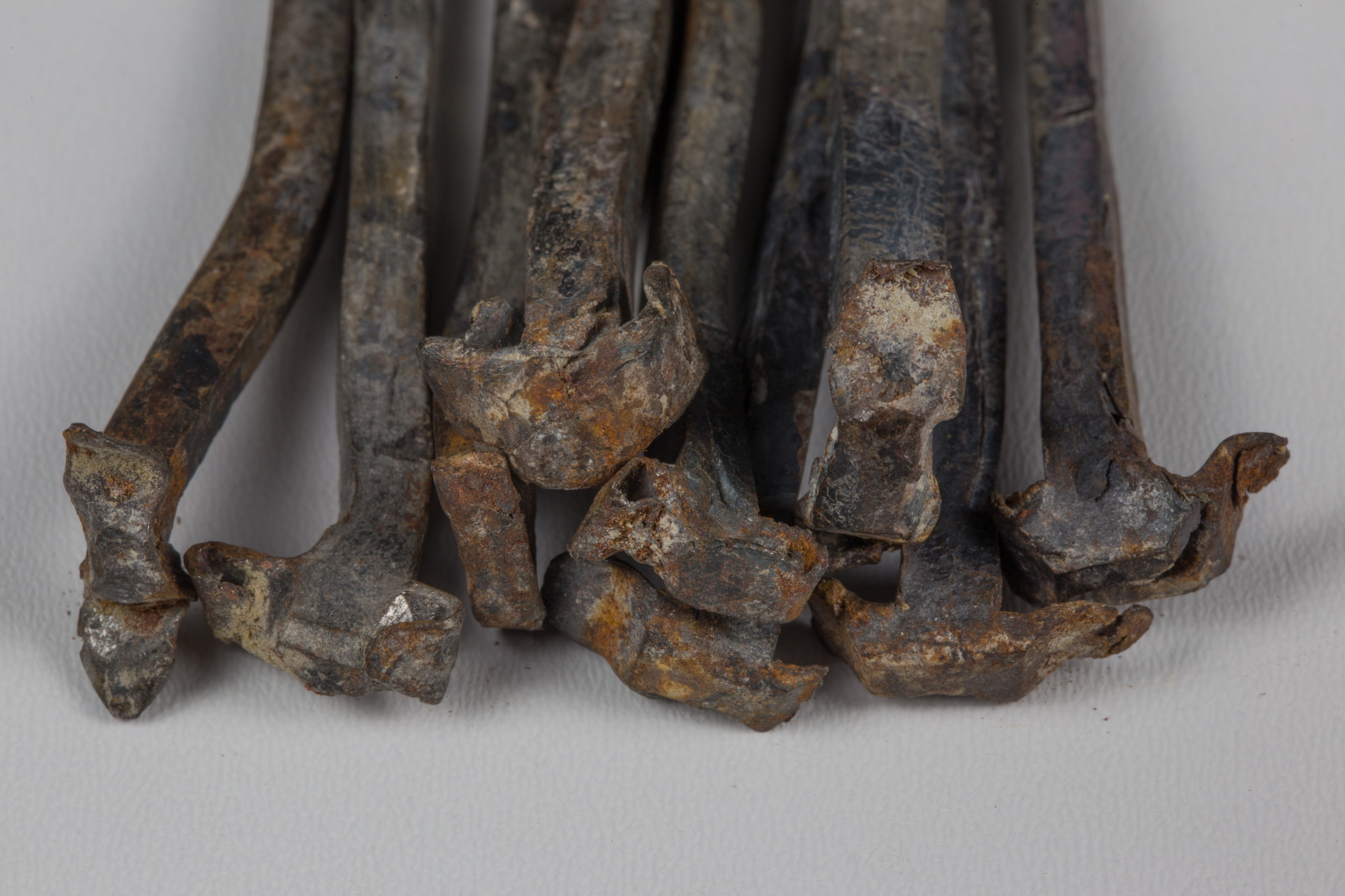 Wrought nails 17. century, Hofburg Vienna 5801