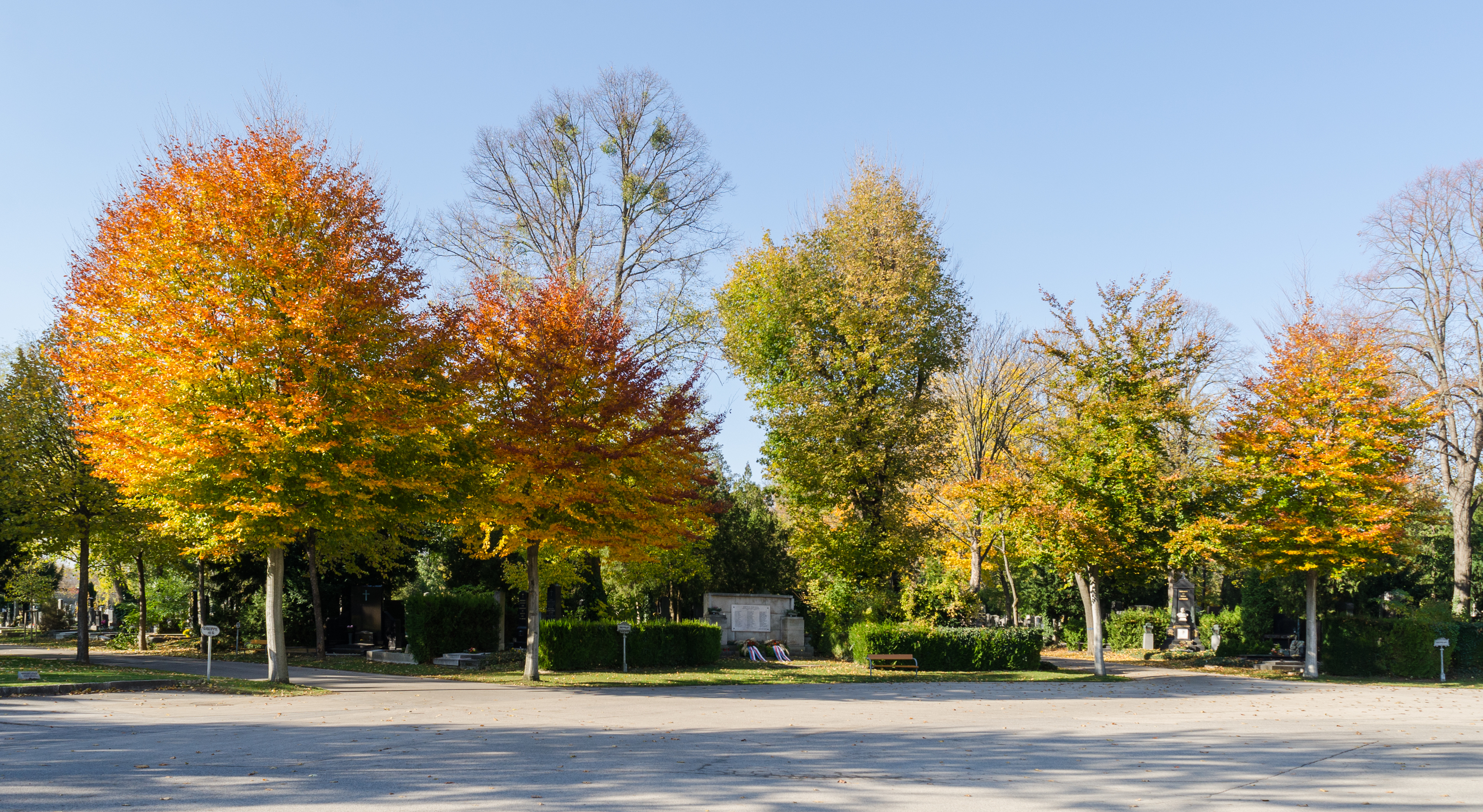 Wien, Zentralfriedhof, 2017-11 CN-17