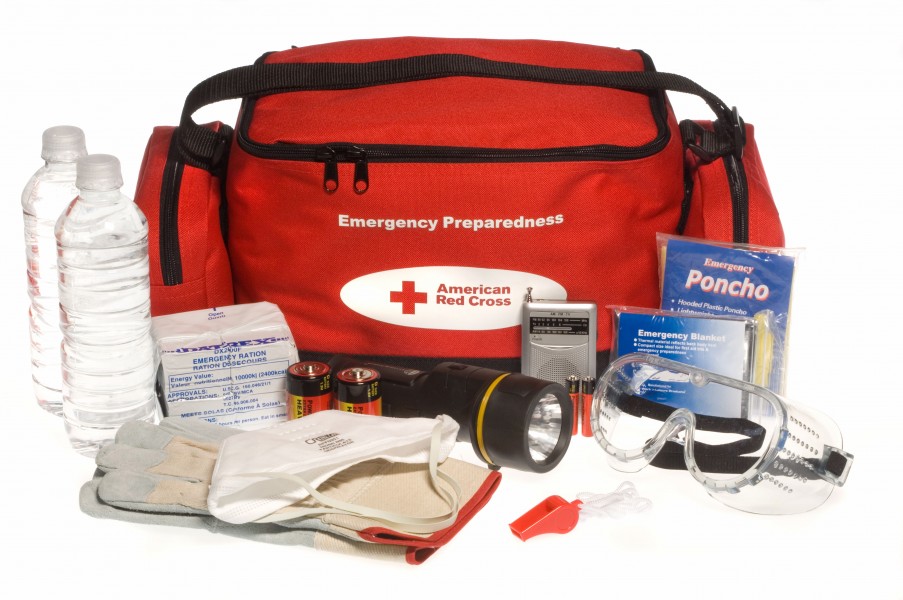 FEMA - 37174 - Emergency Preparedness 