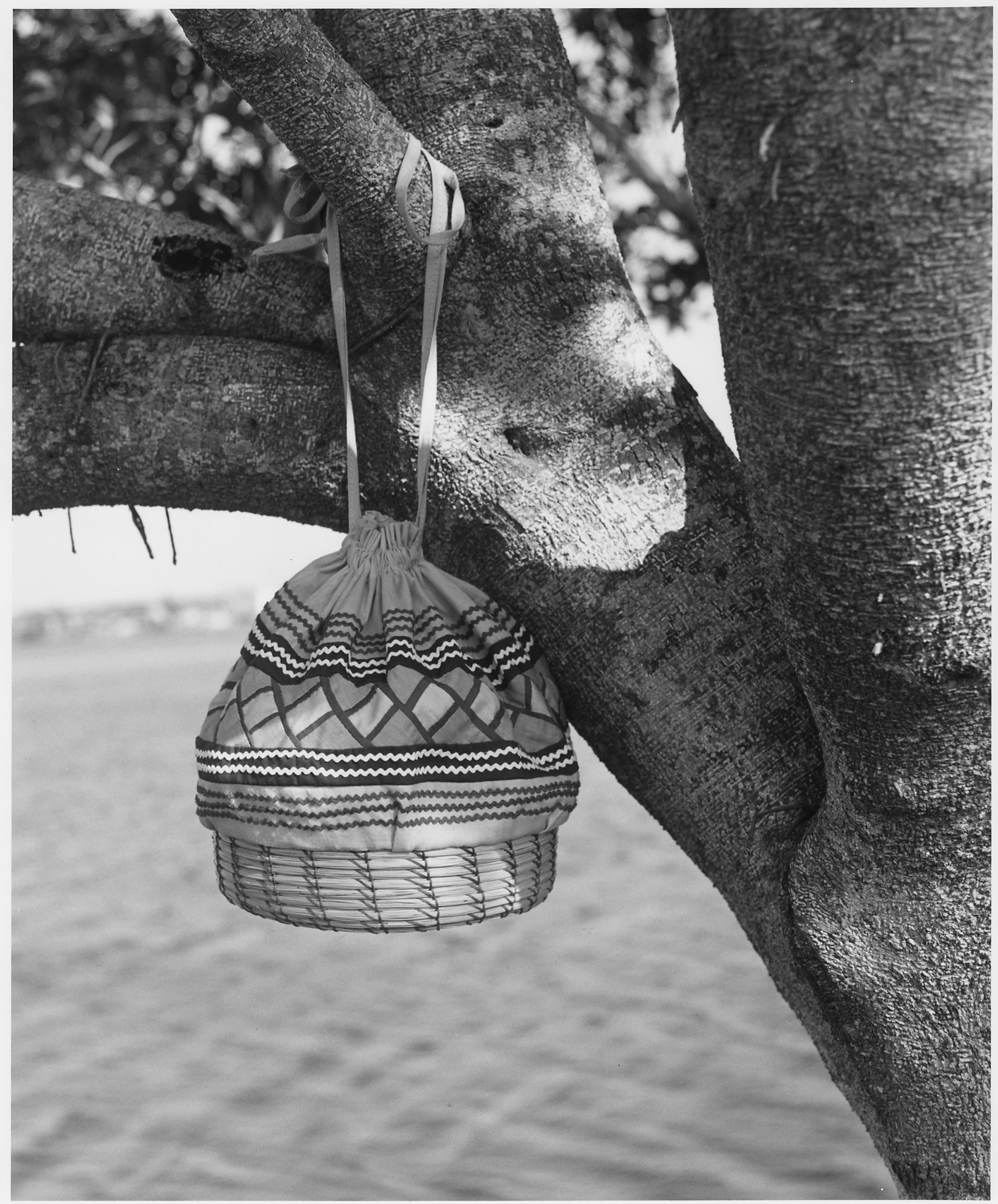 Seminole Coiled Sweet Grass Basket with Cloth Top. - NARA - 281628