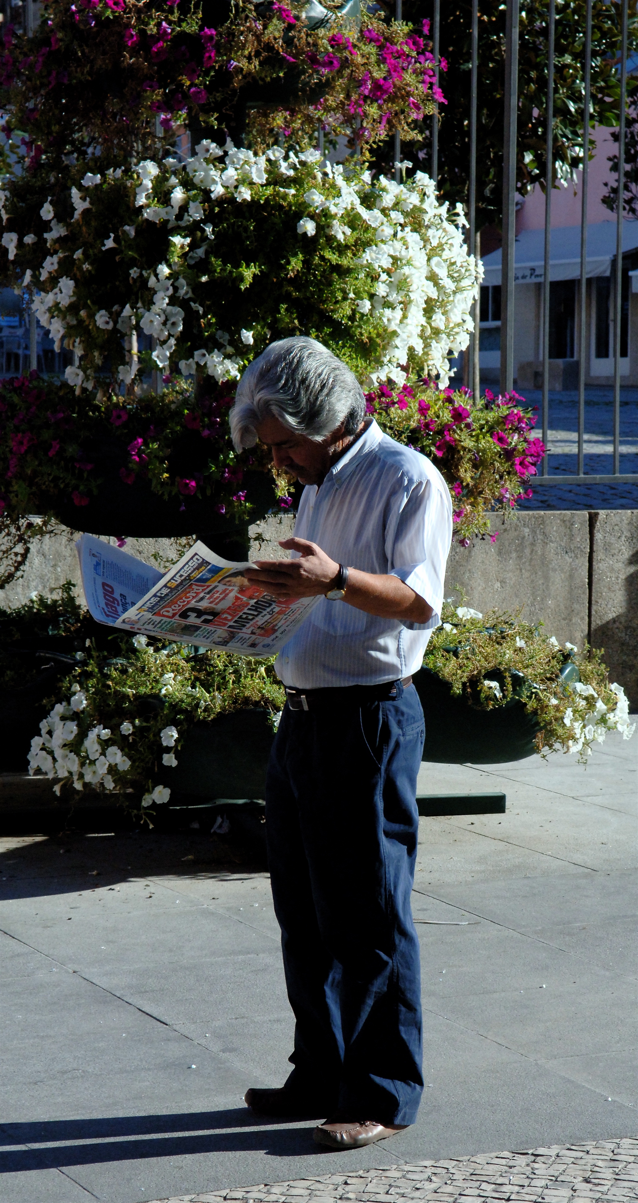 2005 reading newspaper Portugal 69716477