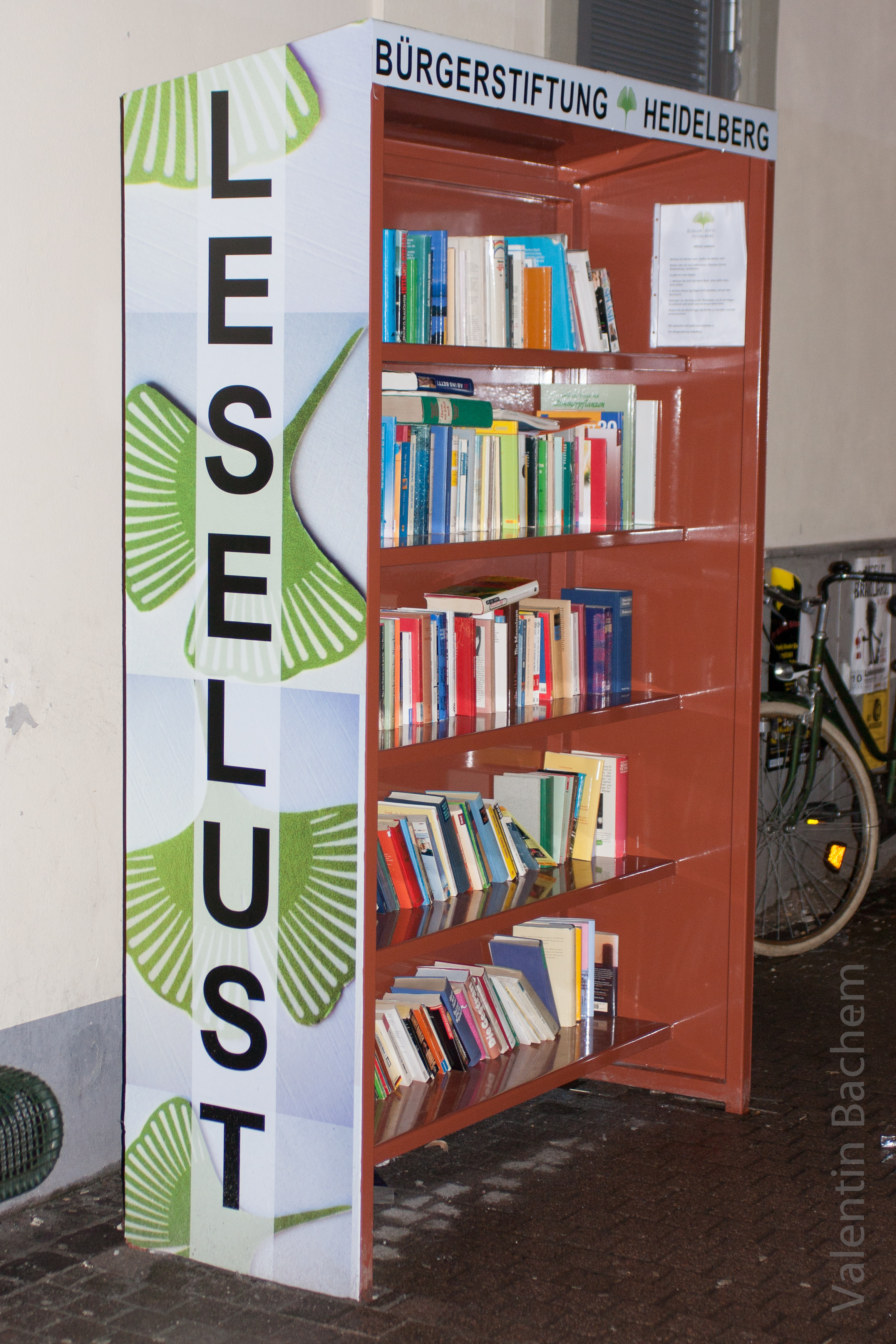 Öffentliches Bücherregal Heidelberg-Altstadt