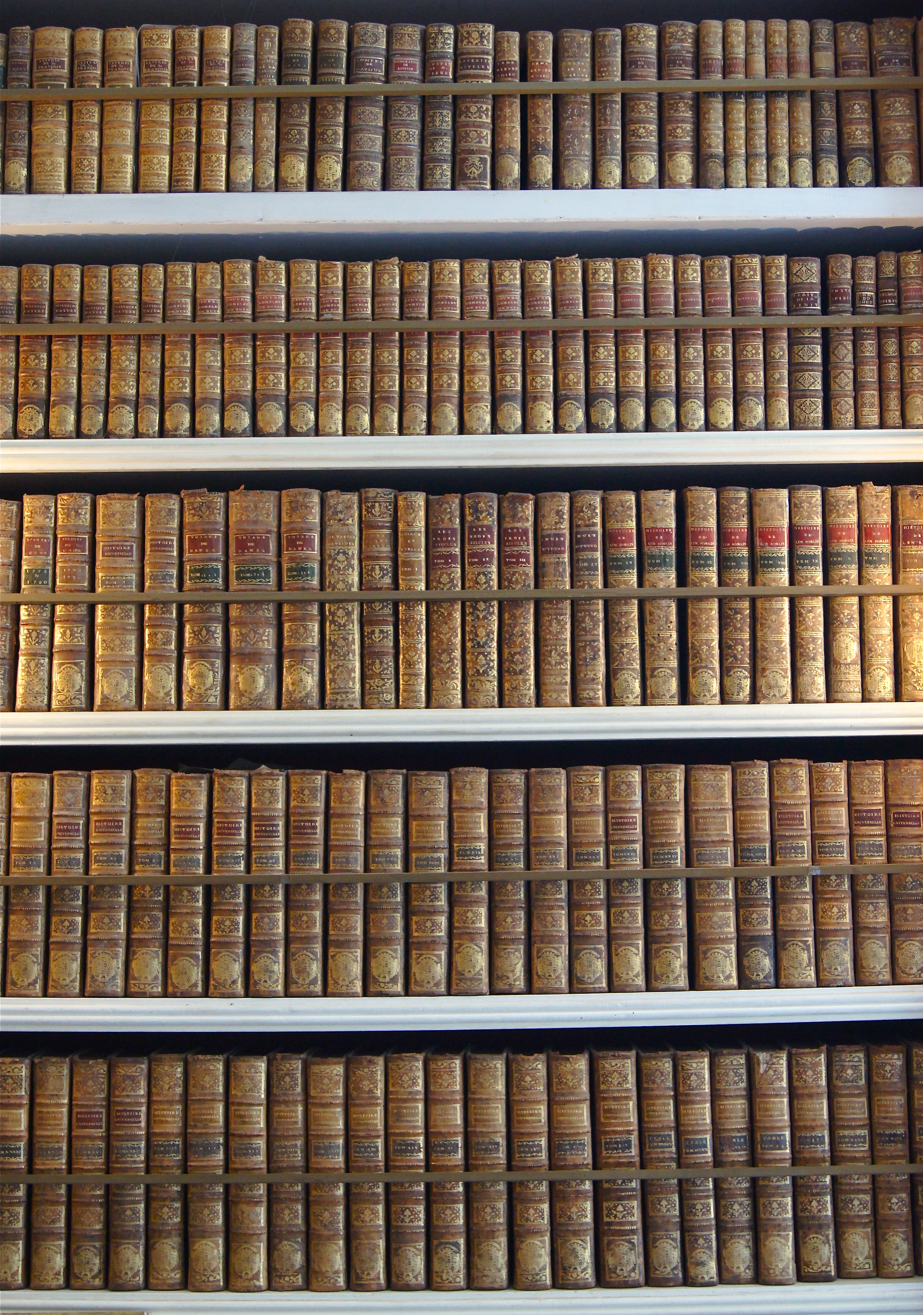 Bibliothèque chateau breteuil