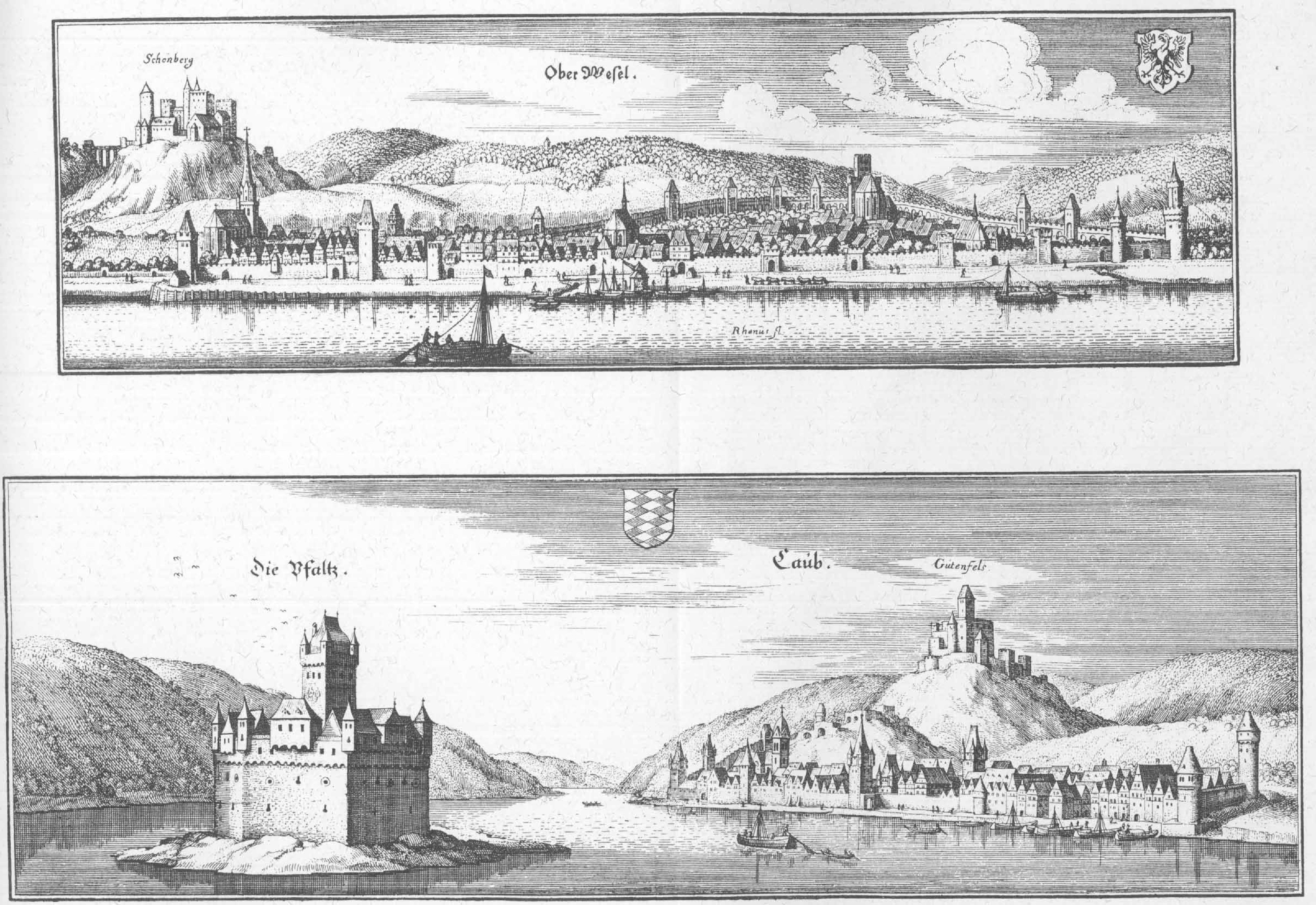 De Merian Hassiae 280