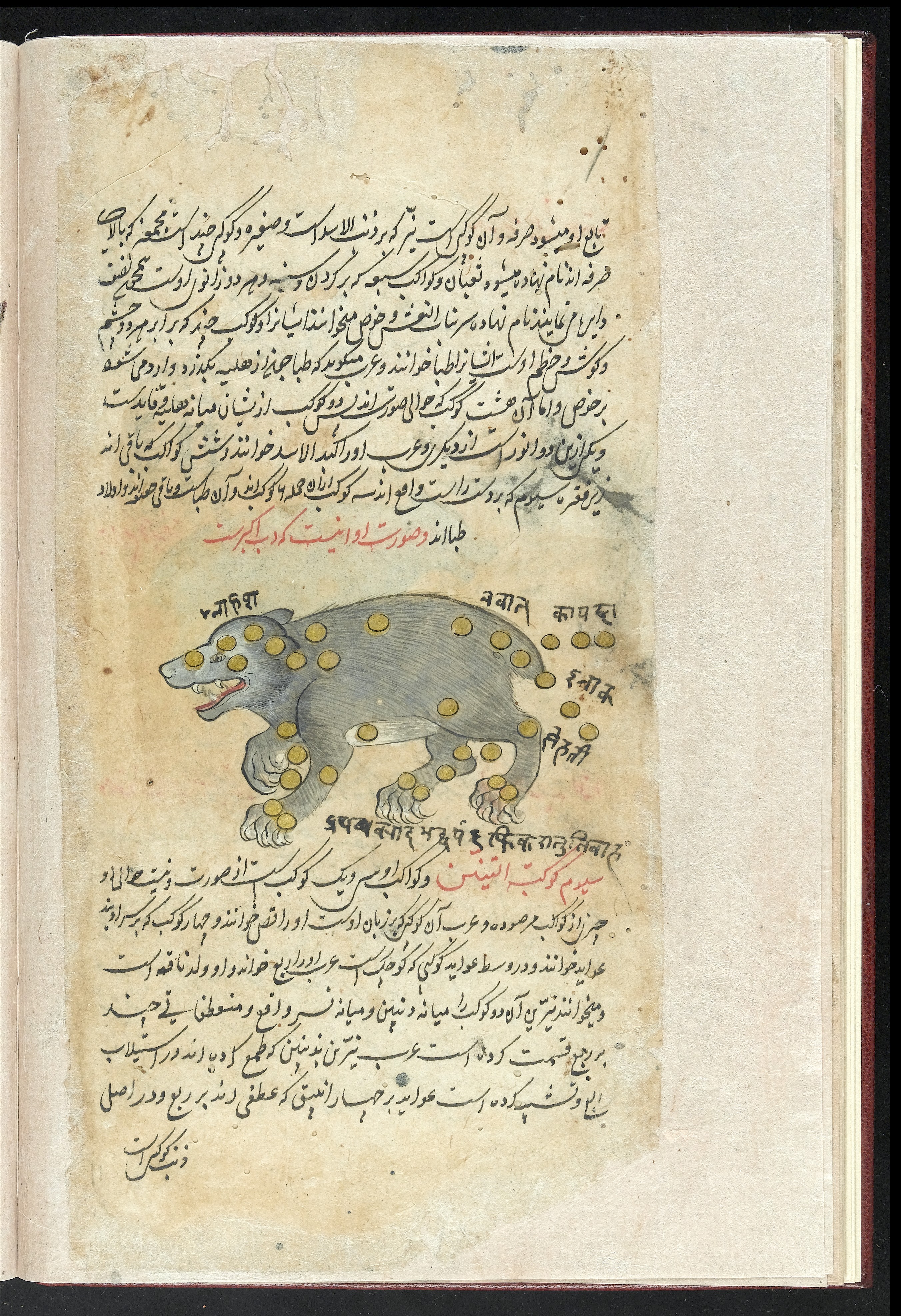 Persian Miniature Paintings Wellcome L0045150