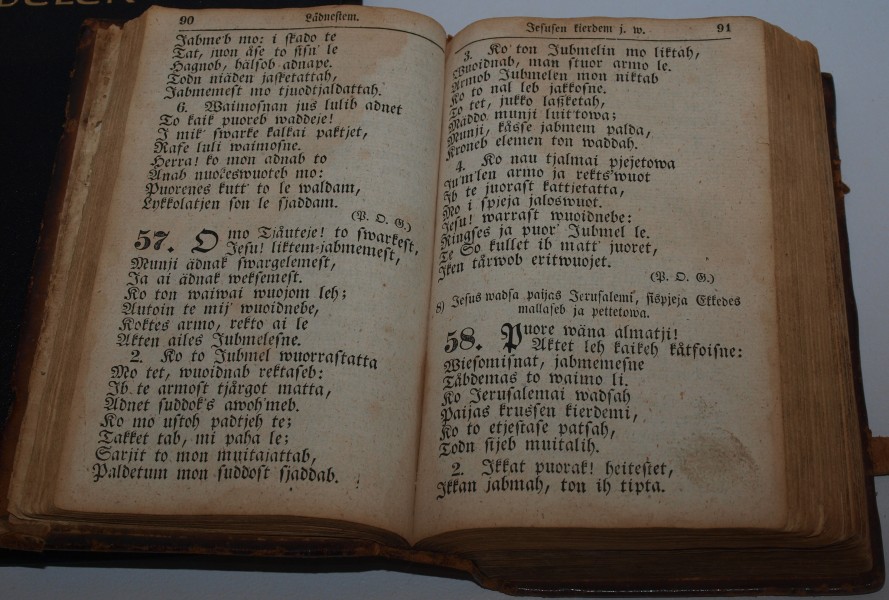 11699cr lulesamisk salmebok