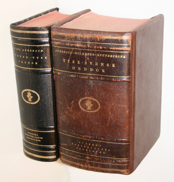 Auerbach spine