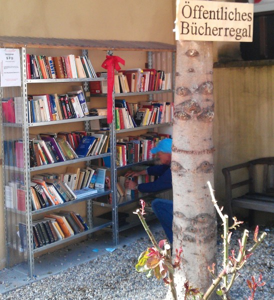 Bücherregal Heidelberg-Ziegelhausen