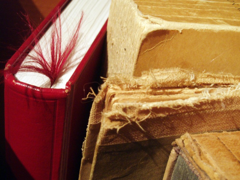 Book spines