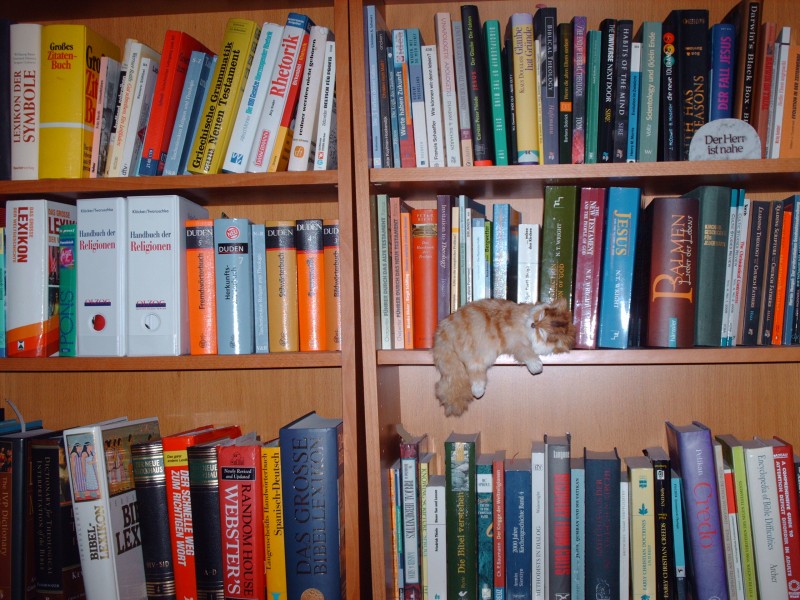 Bookshelf2