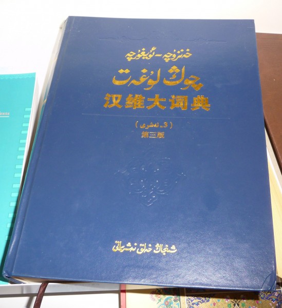 Chinese minority languages 05