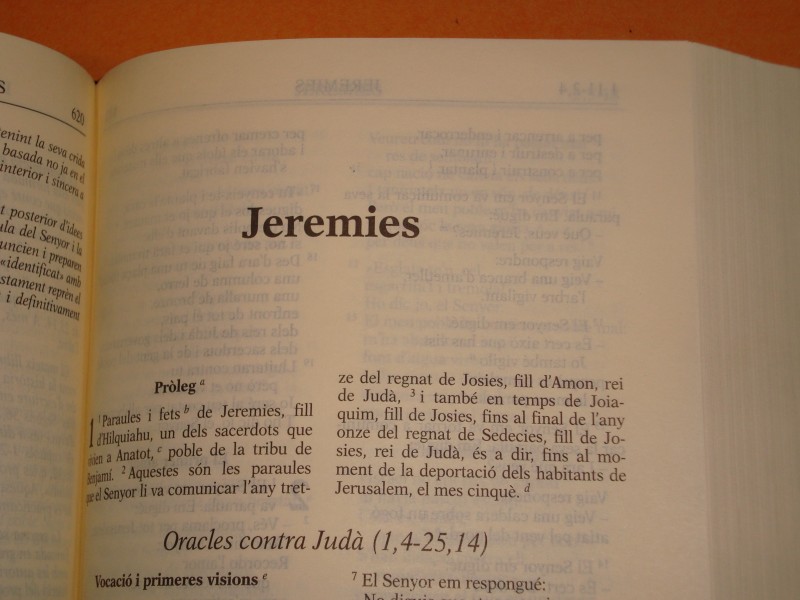 Llibre de Jeremies