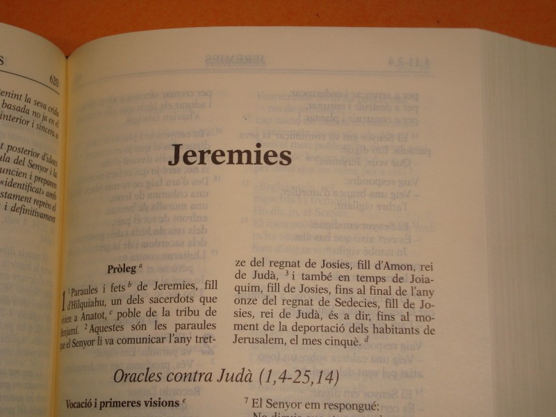 Llibre de Jeremies