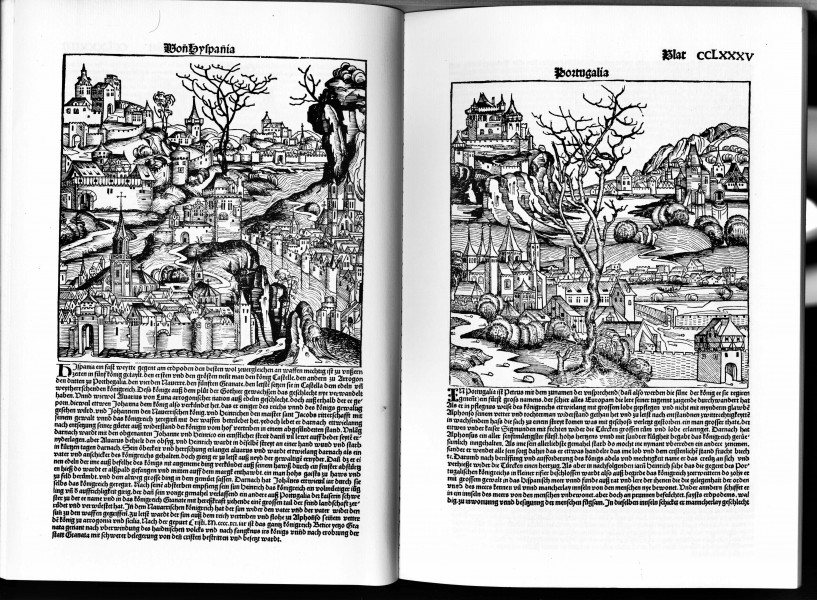 Schedelsche Weltchronik d 285