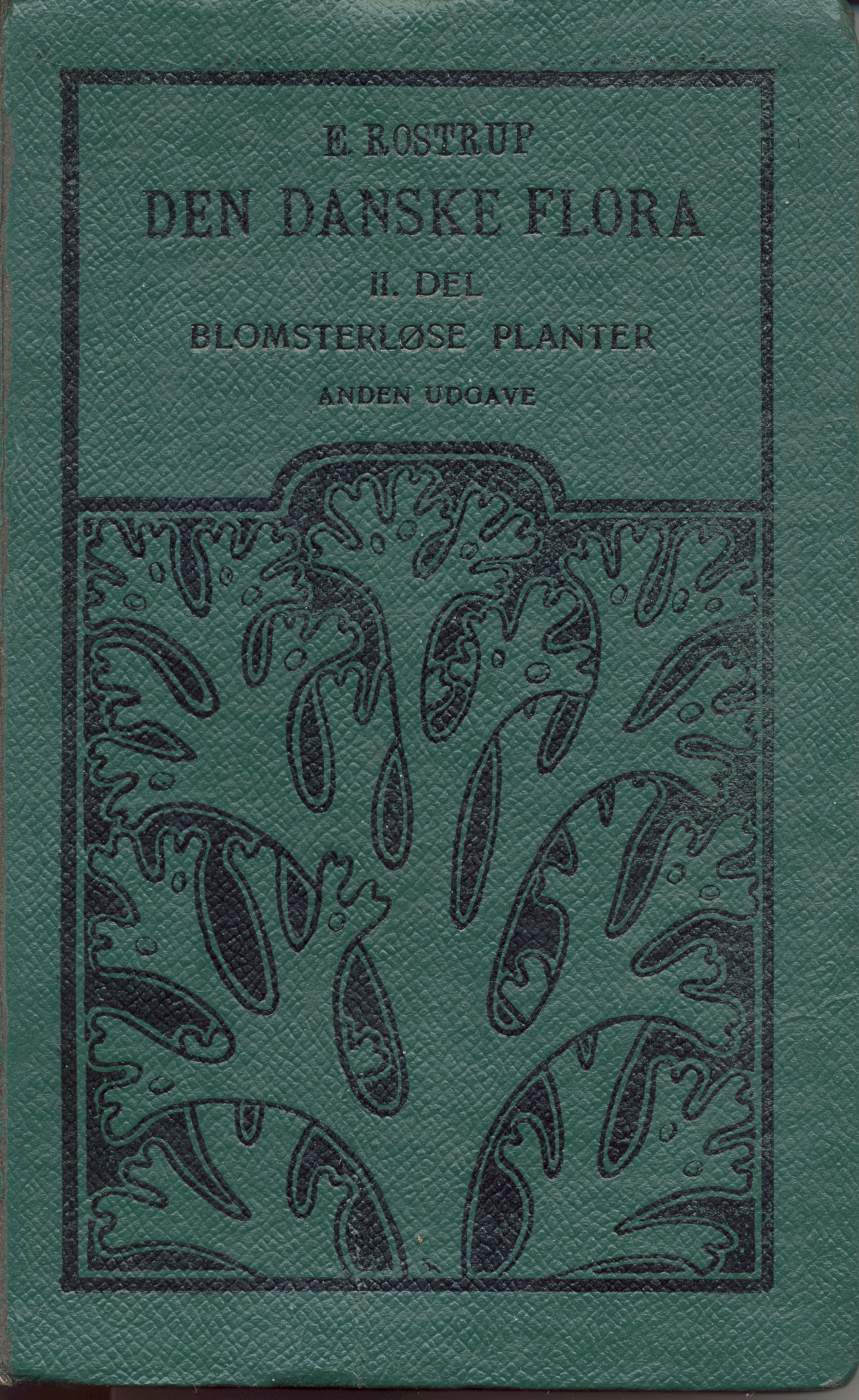 Rostrup-II-frontcover